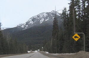 IMG_0043.JPG