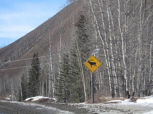 IMG_0058.JPG