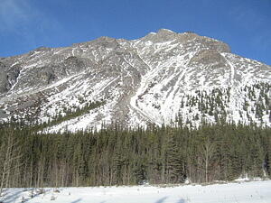 IMG_0121.JPG