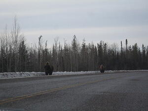 IMG_0174.JPG