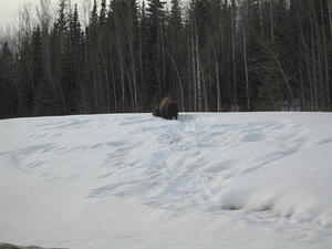 IMG_0178.JPG