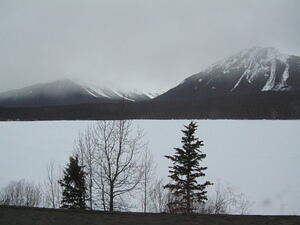 IMG_0183.JPG
