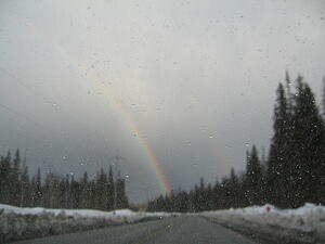 IMG_0252.JPG