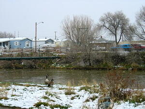 IMG_0007.JPG