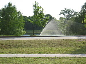 img_0001.jpg