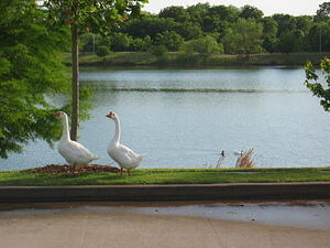 img_0003.jpg