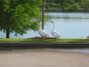 img_0004.jpg