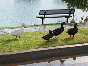 img_0007.jpg