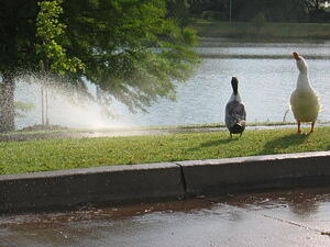 img_0011.jpg