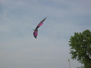 img_0024.jpg