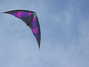 img_0043.jpg