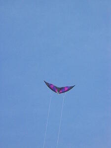 img_0046.jpg