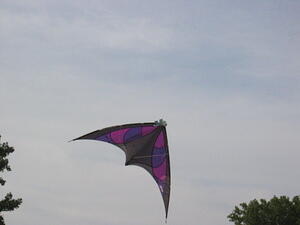 img_0054.jpg
