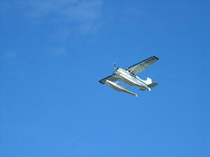 Flying Beaver