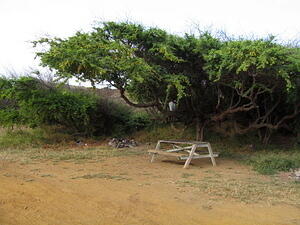 Bench