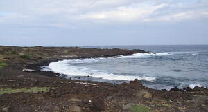 Cove