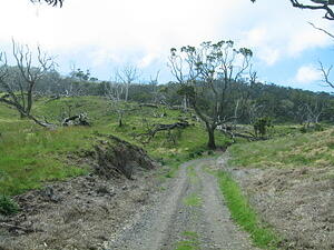 Off-Roading