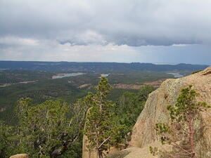 IMG_0061.JPG
