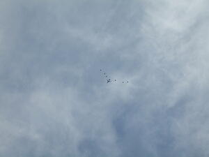 IMG_0067.JPG