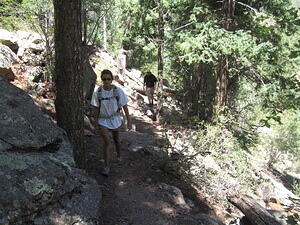 Is this the trail?