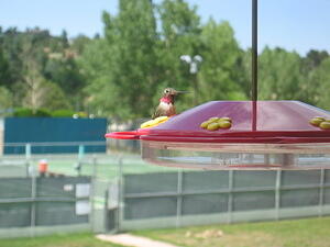 IMG_0001_2.JPG