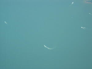 img_0018.jpg