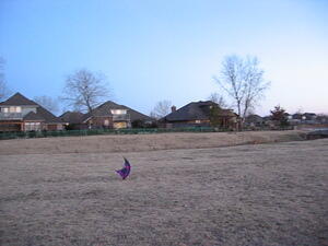 img_0051.jpg