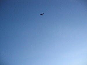 img_0053.jpg