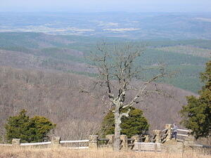 img_0008.jpg