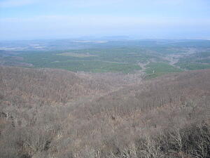 img_0013.jpg