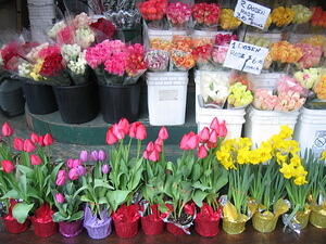 Flowers