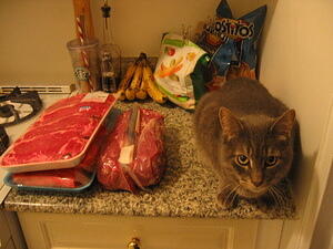 Oberon Likes Meat
