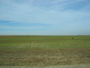 img_0021.jpg
