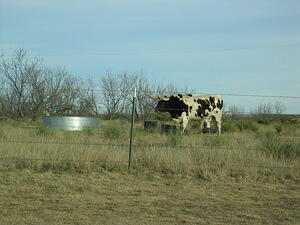 img_0070.jpg