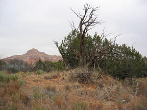 img_0093.jpg
