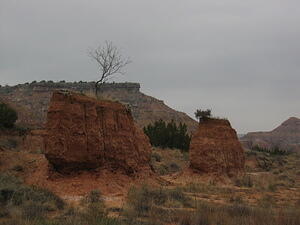img_0107.jpg