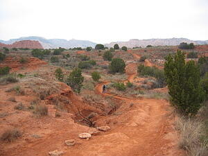 img_0113.jpg