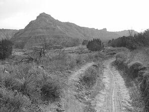 img_0118.jpg