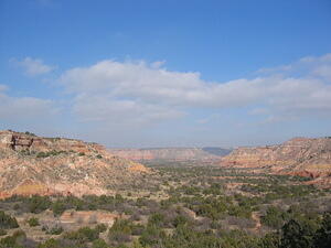 img_0127.jpg
