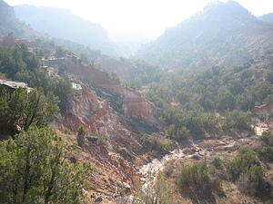 img_0137.jpg