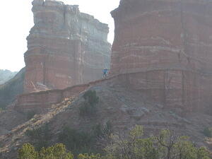 img_0152.jpg
