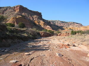 img_0154.jpg