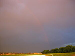 img_0019.jpg
