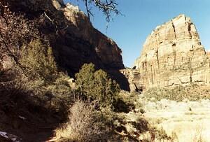 Picture_19.jpg