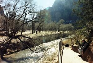 Picture_21.jpg
