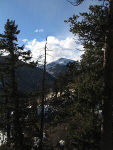 Trail View that Amanda didn't get to see.