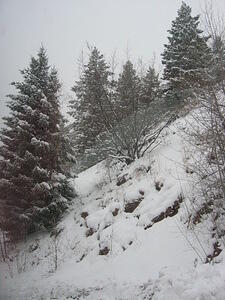 img_0008.jpg