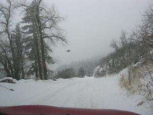 img_0019.jpg