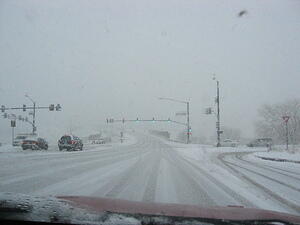 img_0037.jpg