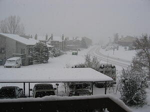 img_0045.jpg